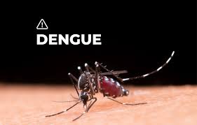 Todos contra el dengue: La importancia de la prevención