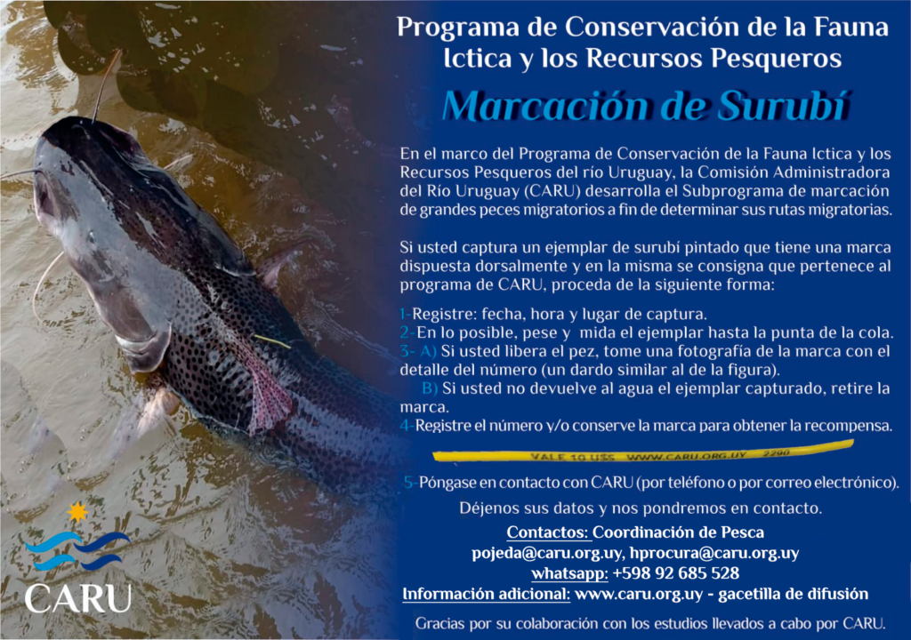 Programa de conservación de la fauna íctica y los recursos pesqueros en el marco de la semana de turismo